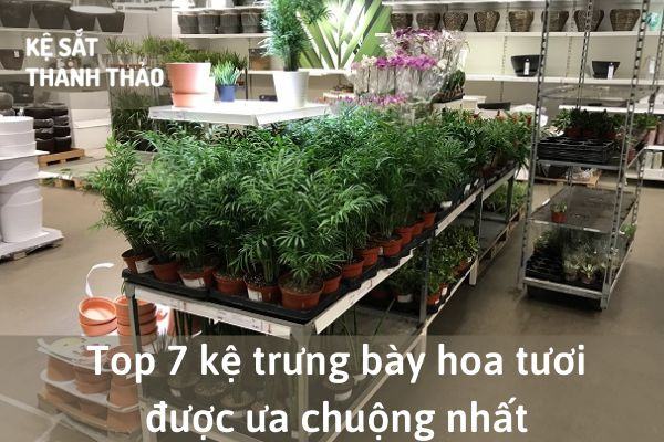 kệ trưng bày hoa tươi